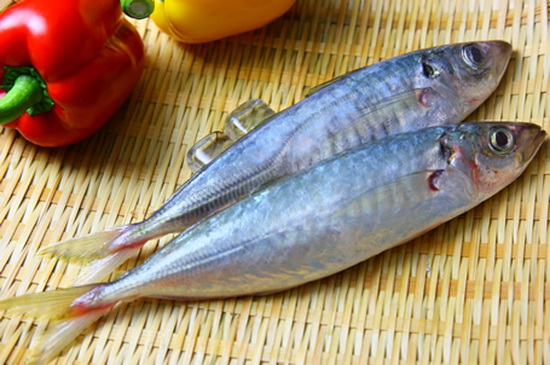 日本竹䇲鱼