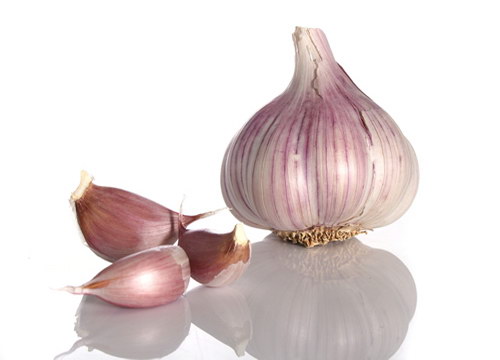 大蒜（Garlic）