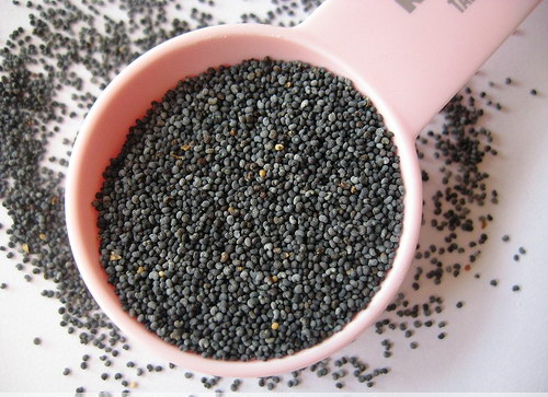 罂粟子（Poppy Seeds）